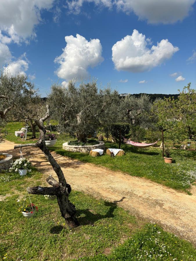 Trulli Barsento Guest House Alberobello Exterior photo