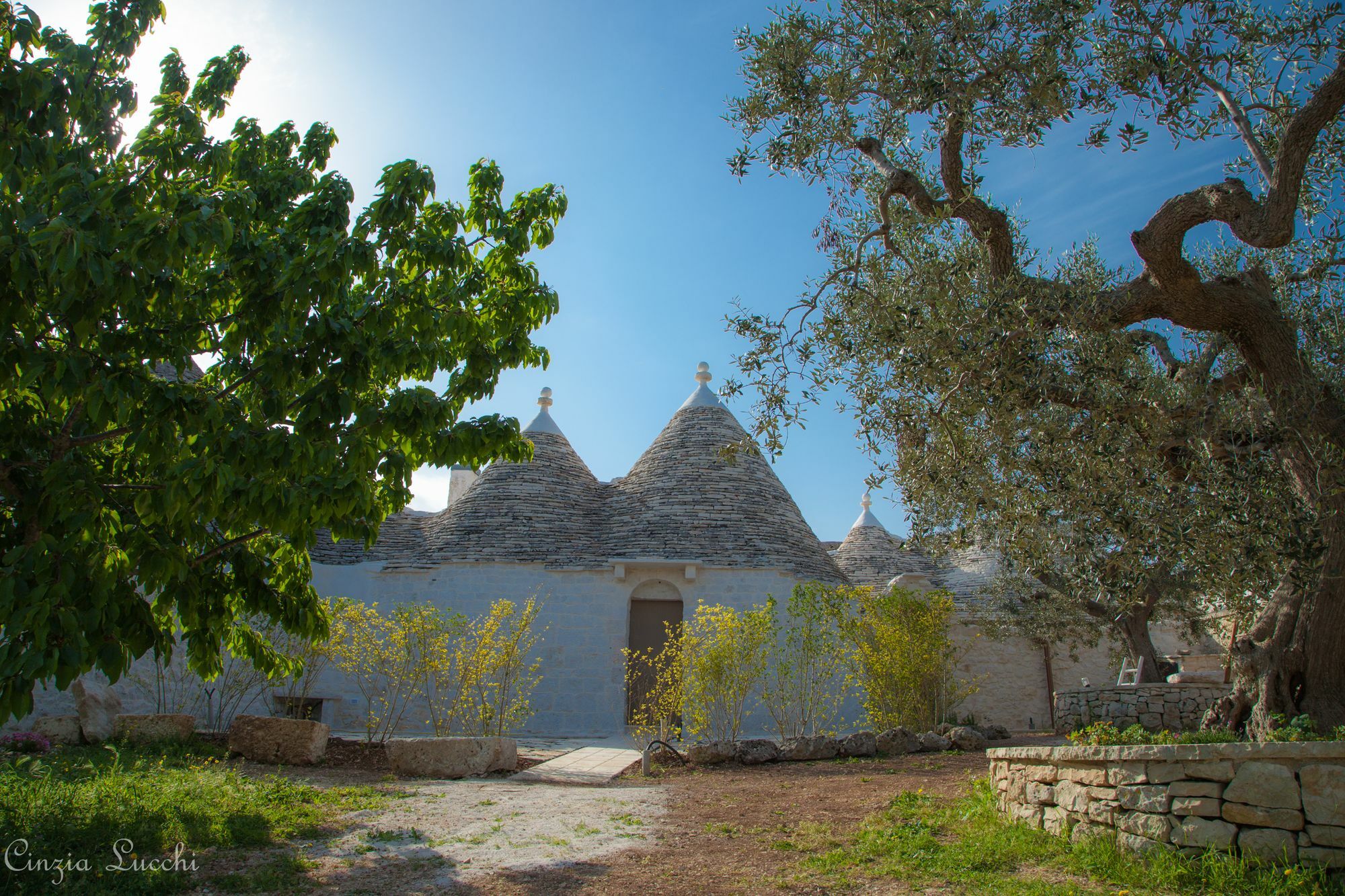 Trulli Barsento Guest House Alberobello Exterior photo